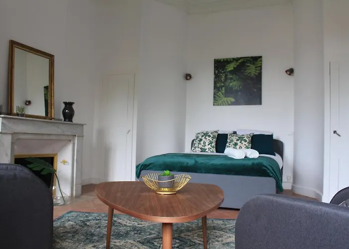 Paul Sabatier-T1-Vue Sur Jardin-Luxe-Wifi-Fi-Velo