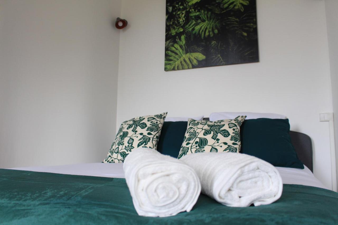 Paul Sabatier-t1-vue Sur Jardin-luxe-wifi-fi-velo Apartment Castelnaudary